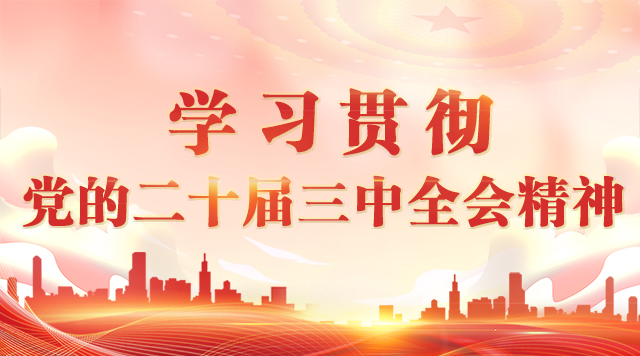 學習貫徹黨的二十屆三中全會精神